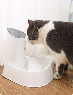 Fontaine Premium pour Animaux – Hydratation Continue, Zéro Stress