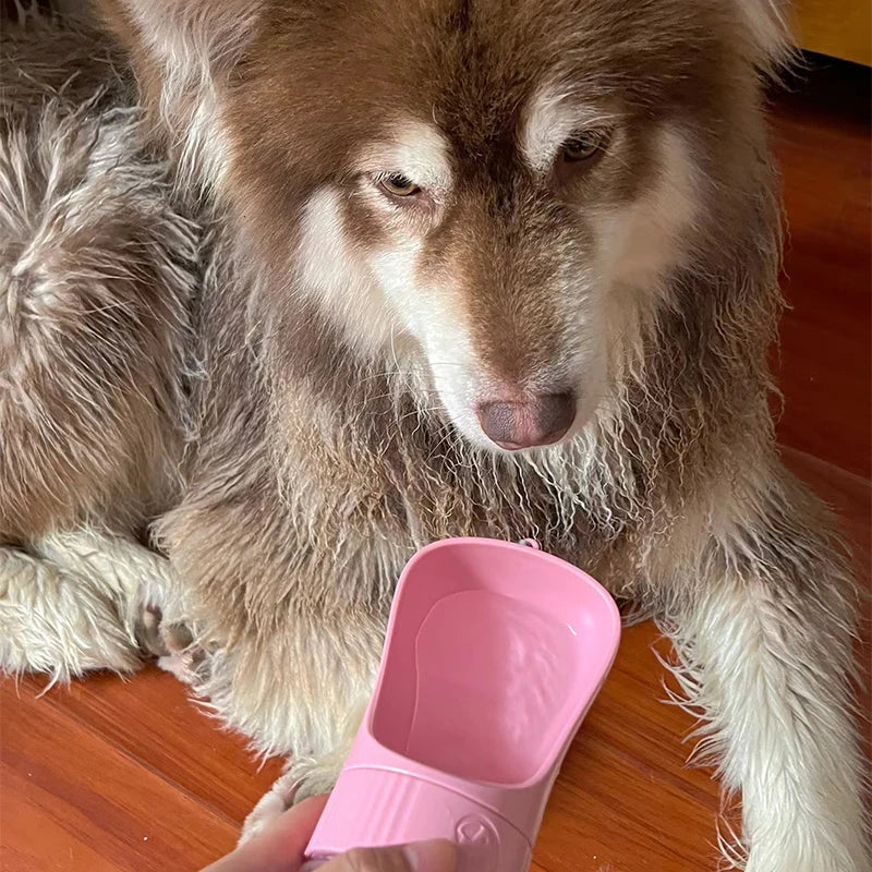 🐾 Bouteille d’Eau & Gamelle 2-en-1 pour Chiens et Chats – Portable & Étanche